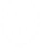 Escudo Santa Fe